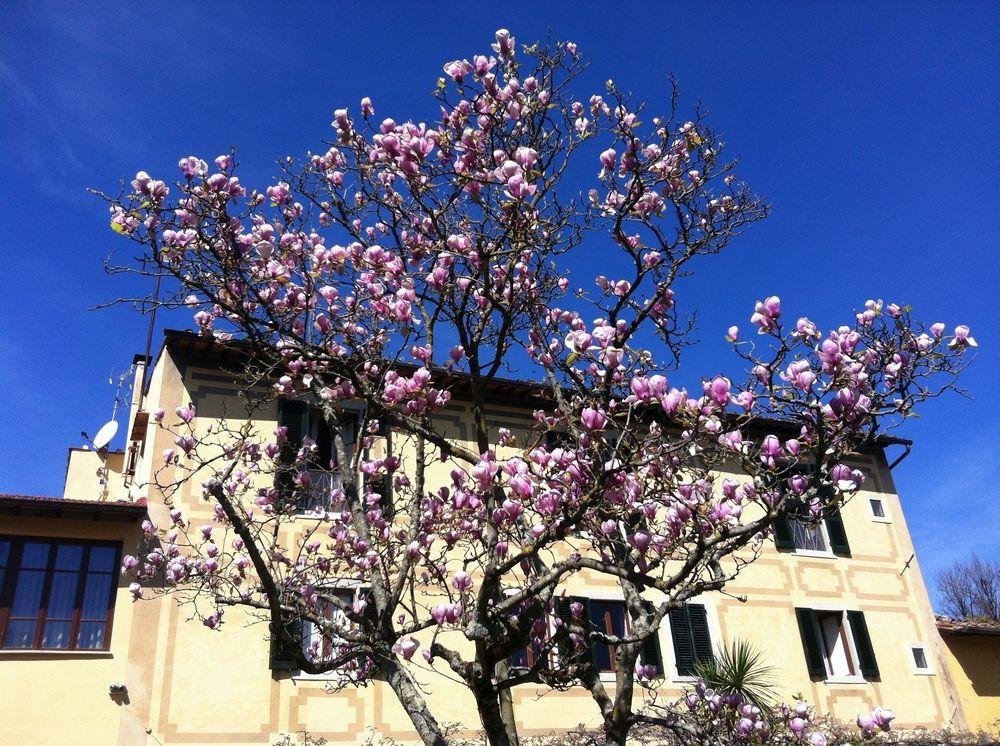 Ape Rosa Relais Bed and breakfast
