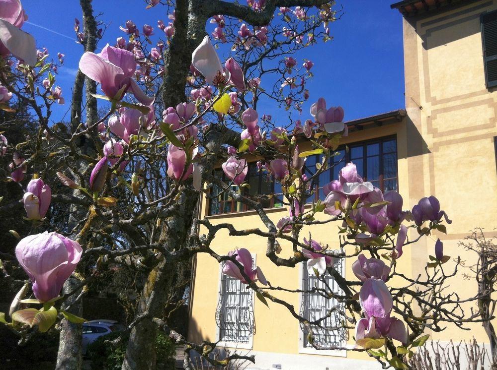 Ape Rosa Relais Bed and breakfast Florencia