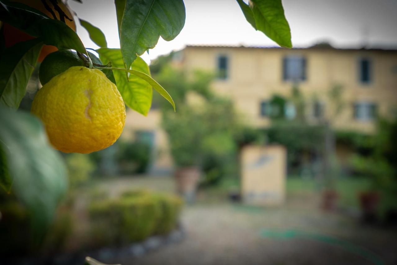 Ape Rosa Relais Bed and breakfast 2*