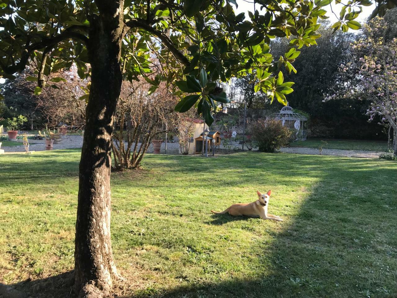 Ape Rosa Relais 2* Florencia